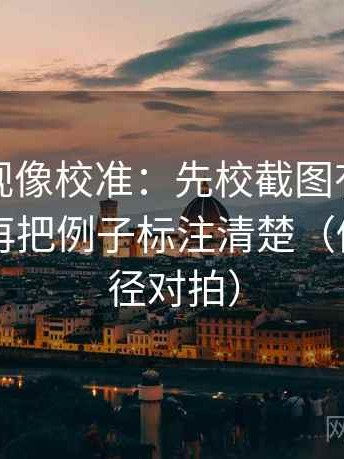 番茄影视像校准：先校截图有没有缺语境，再把例子标注清楚（做一次口径对拍）