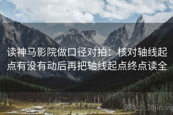 读神马影院做口径对拍：核对轴线起点有没有动后再把轴线起点终点读全